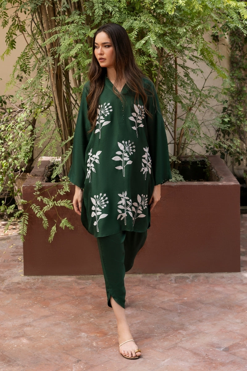 TERRE Ayesha Khurram