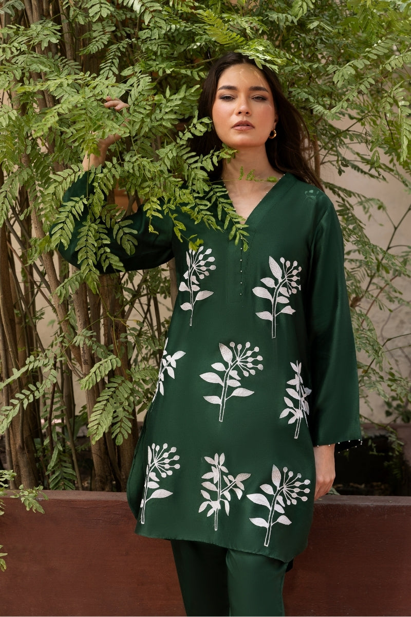 TERRE Ayesha Khurram