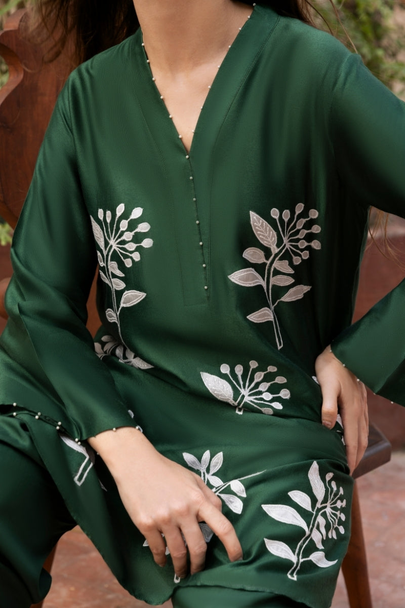 TERRE Ayesha Khurram