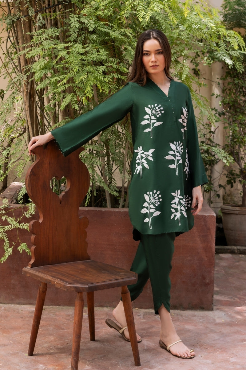 TERRE Ayesha Khurram